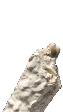 Garzotto Candy since 1840