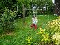 P1000024.JPG