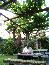 DSCF0022.JPG