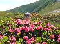 DSCF0066.JPG